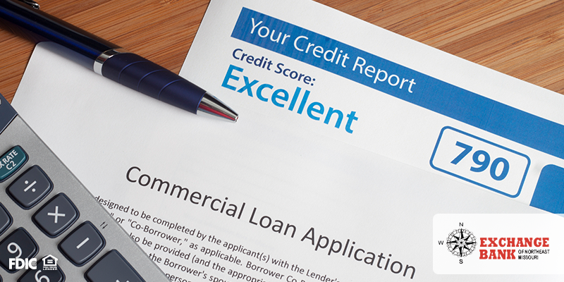 Red Flags to Look for on Your Credit Score