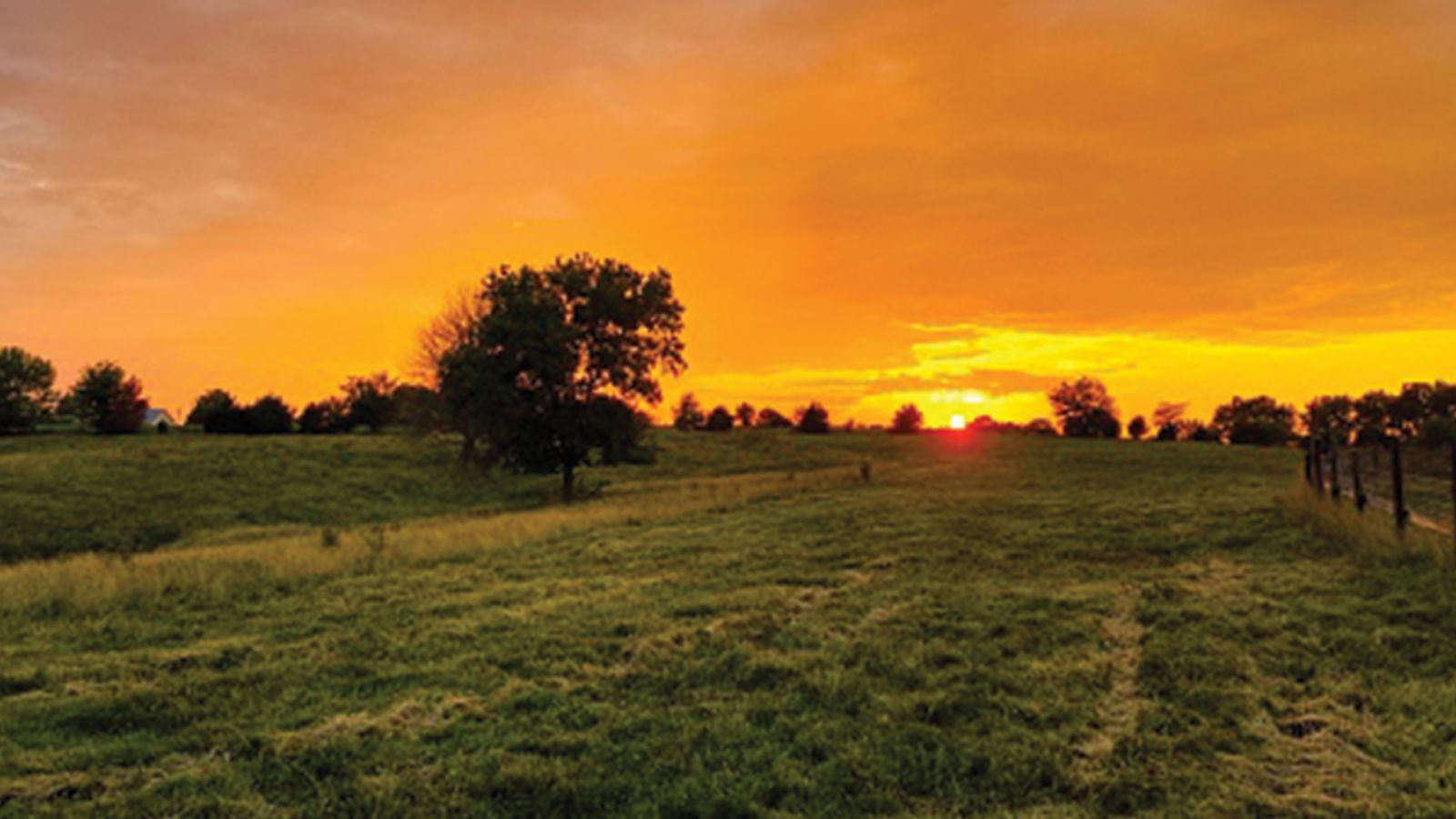 hand holding paper people